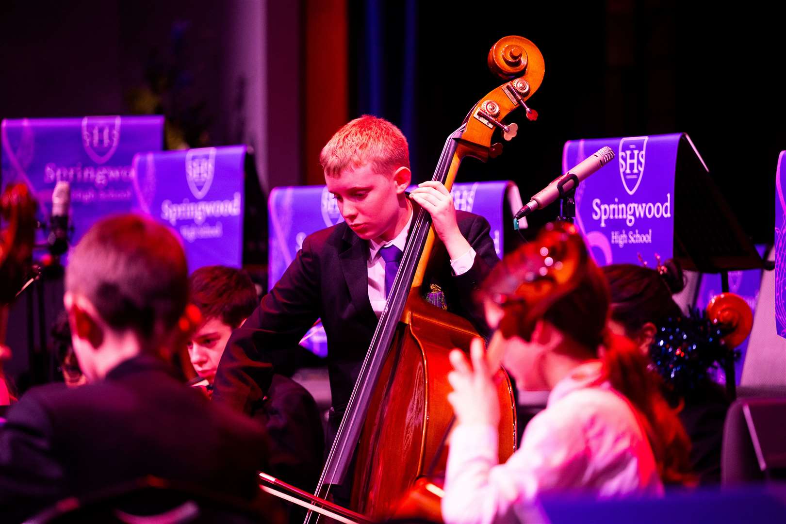 Classical music was also heard during the concert. Picture: Ian Burt